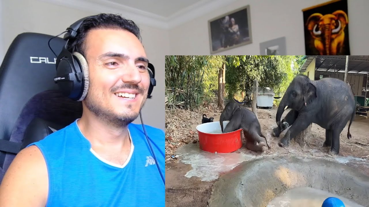 พลายดาวมงคล PlaiDaoMongkol | งานเข้า..จันทร์เจ้า..พาพี่ดาวป่วน...พี่เดือน,.มาเล่นด้วย Reaction