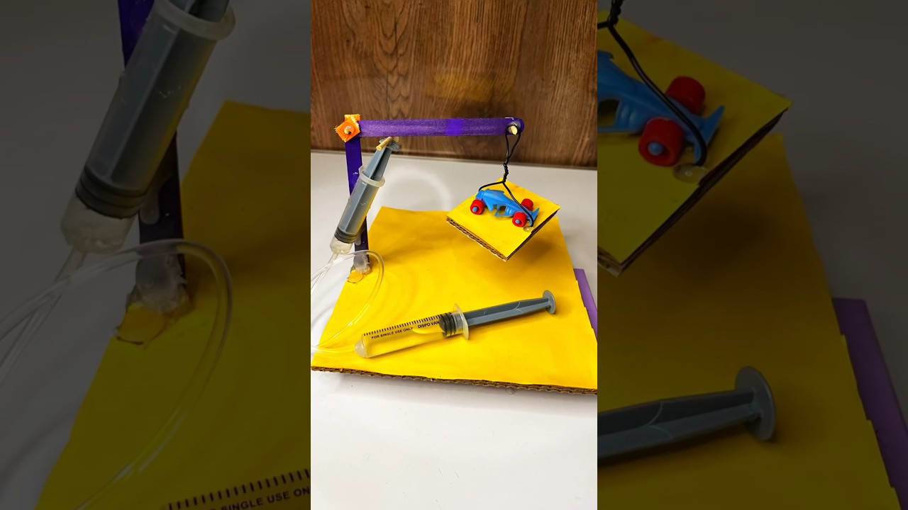 Make a science exhibition project like the award winning one😍 #diy #projects #school