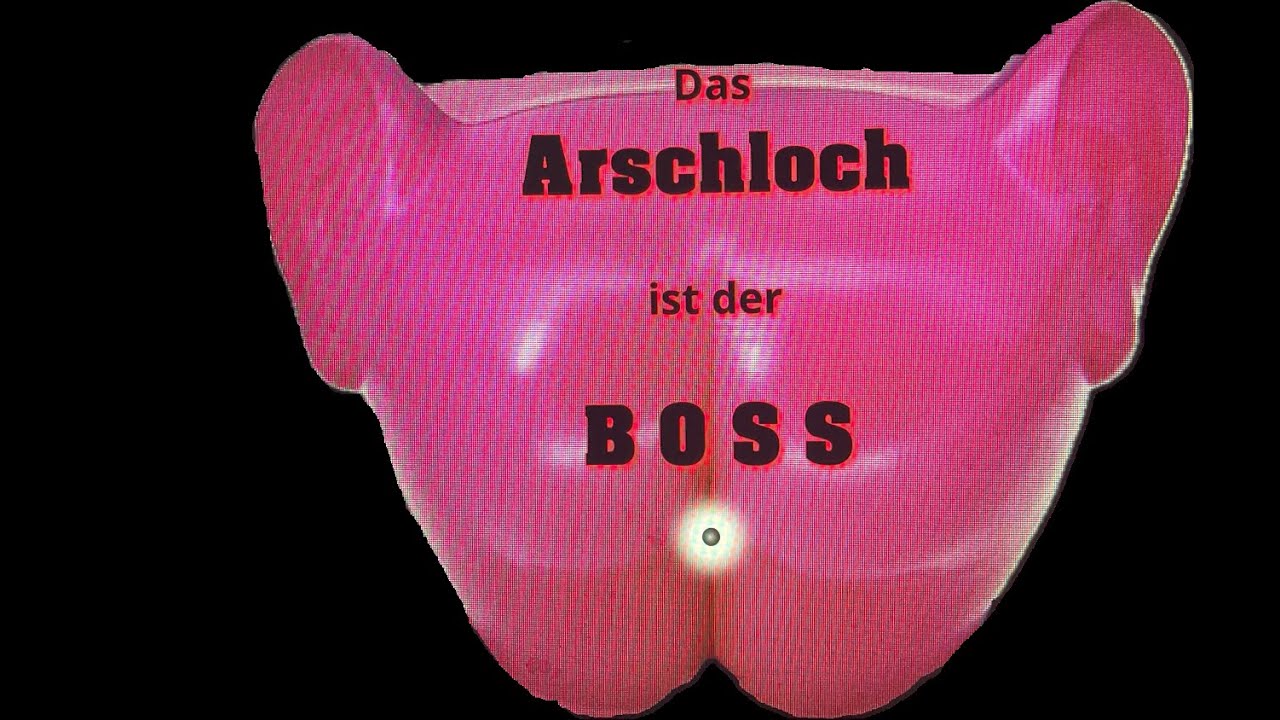 Streit der Organe (Video)