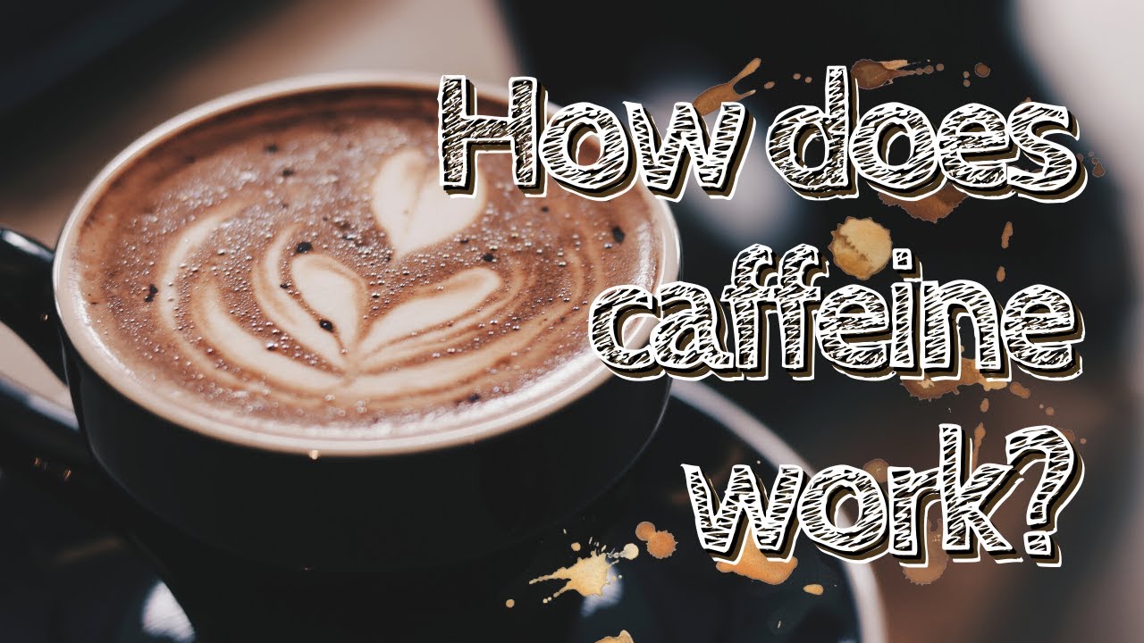 How does caffeine (coffee, tea, or soda) keep you awake?