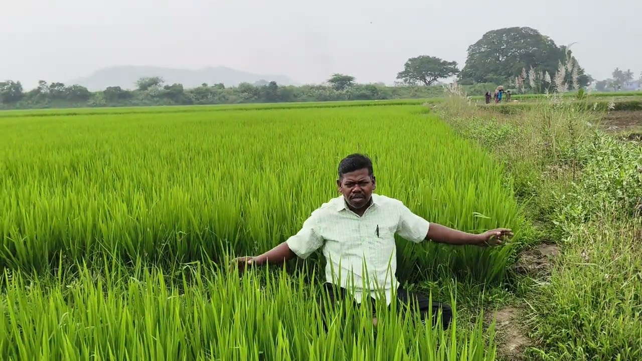 திருவள்ளுவர் தின சிறப்பு பதிவு