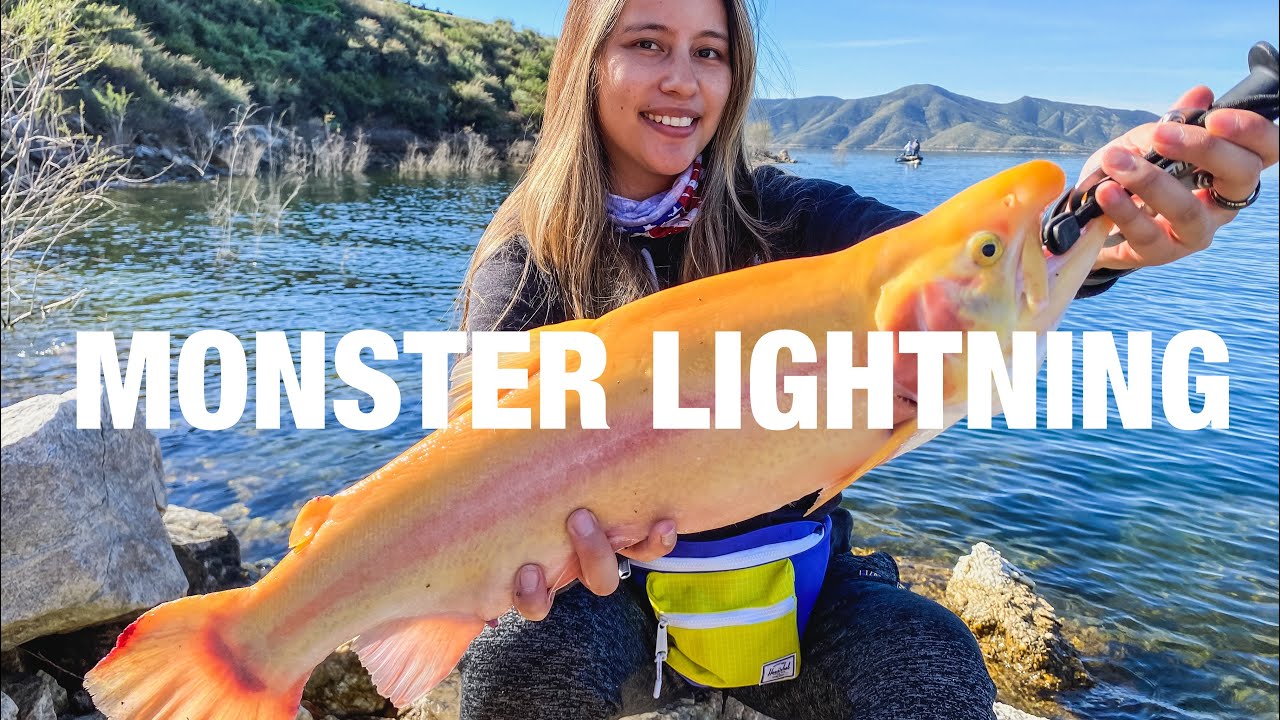 MONSTER LIGHTNING TROUT | DIAMOND VALLEY LAKE