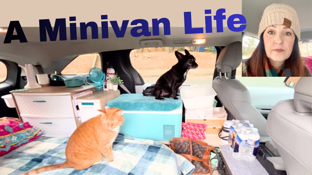 Minivan Life with Pets: A Couple Cold Days, Cooking and Cuddles. What's under my floor?