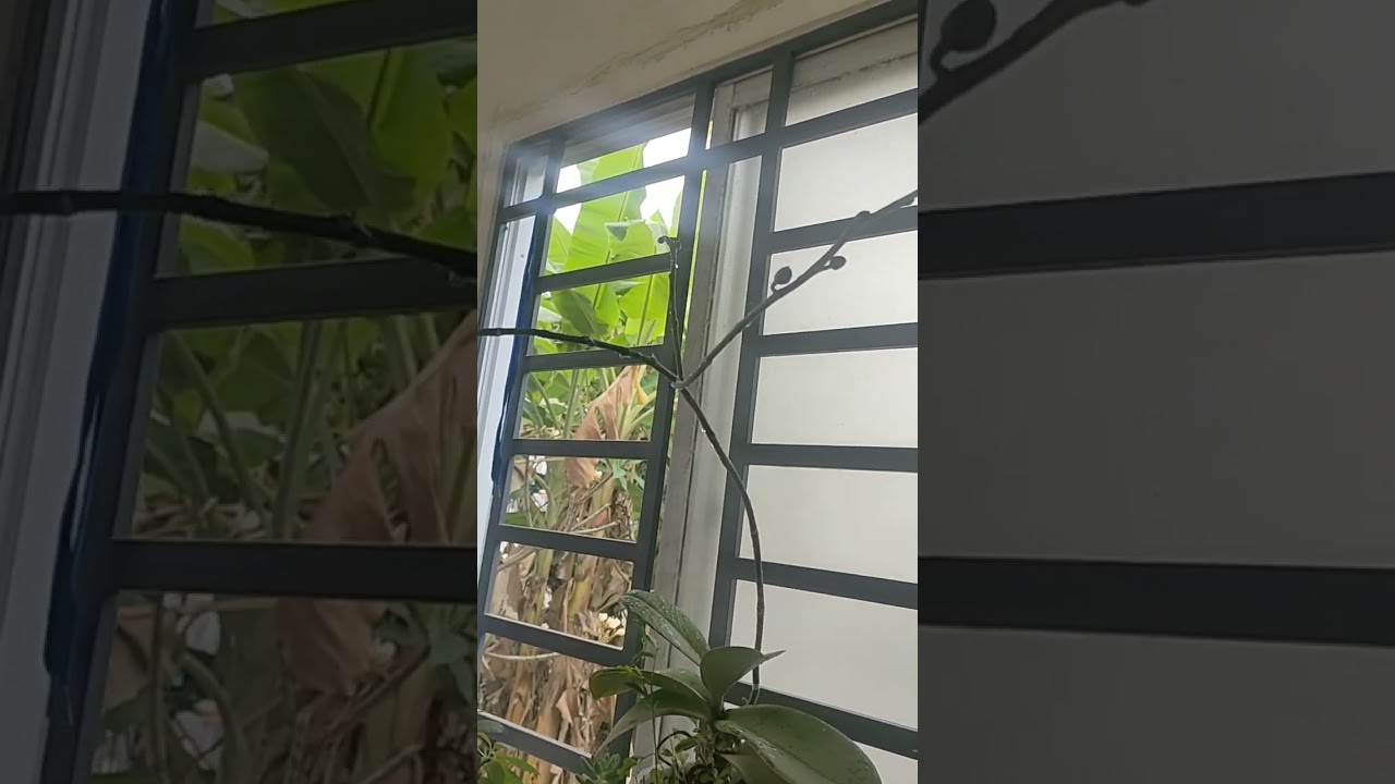 chả ai cho tôi trái tim cả ☺️☺️☺️