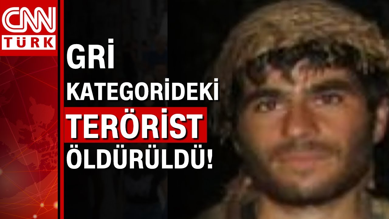 Elinde 10 şehidin kanı vardı! Gri kategorideki terörist Bitlis'te öldürüldü