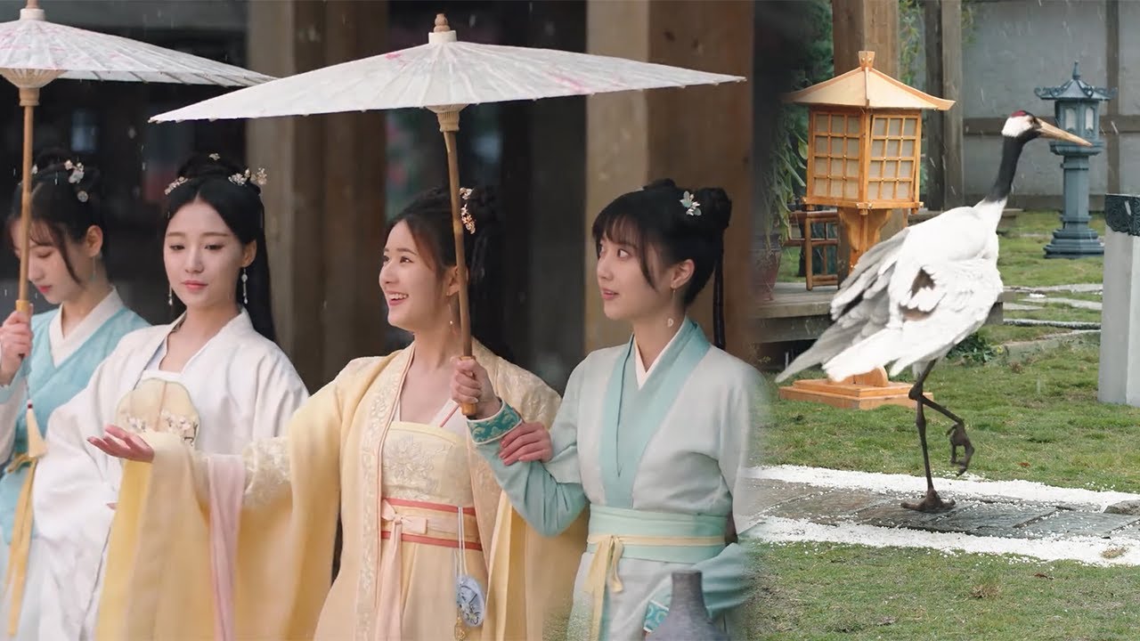 绝世美男竟不把美女放在眼里，反而娶仙鹤为妻？！【 A Female Student Arrives at the Imperial College】