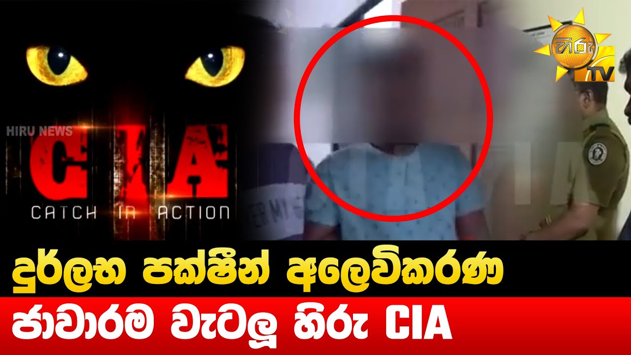 දුර්ලභ පක්ෂීන් අලෙවිකරණ - ජාවාරම වැටලූ හිරු CIA - Hiru News