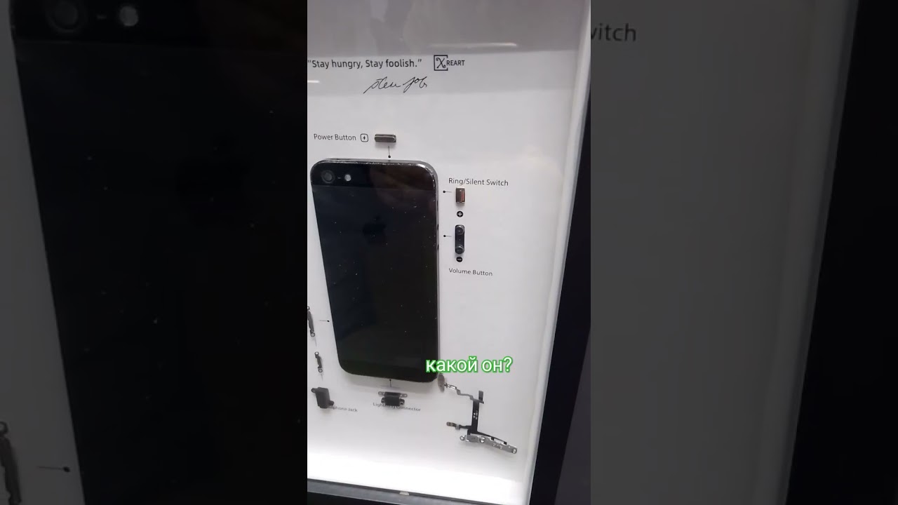 Вибратор в смартфоне - как он выглядит