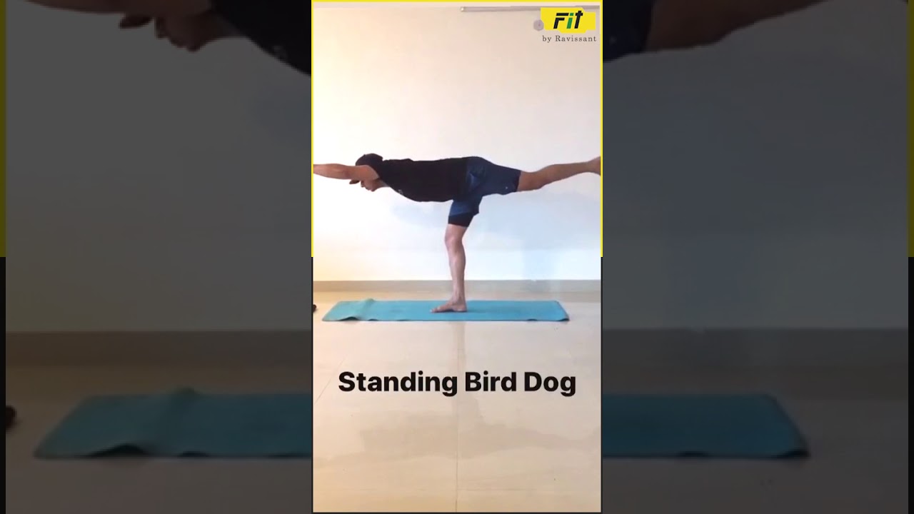 AT HOME WORKOUT BY SPARTAN SGX COACH