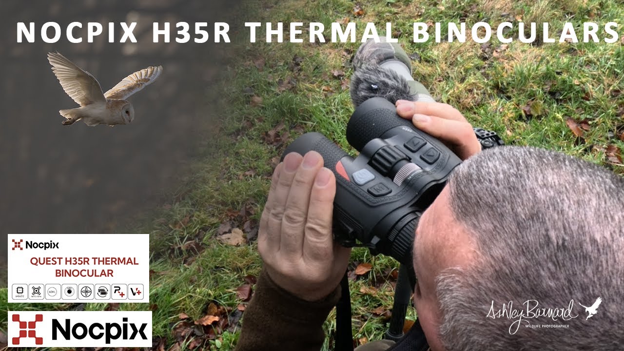 Тепловизионный бинокль Nocpix QUEST H35R — для наблюдения за совами.