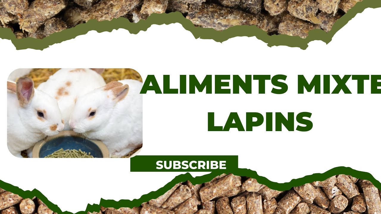 FORMULE POUR ALIMENTS MIXTE LAPINS