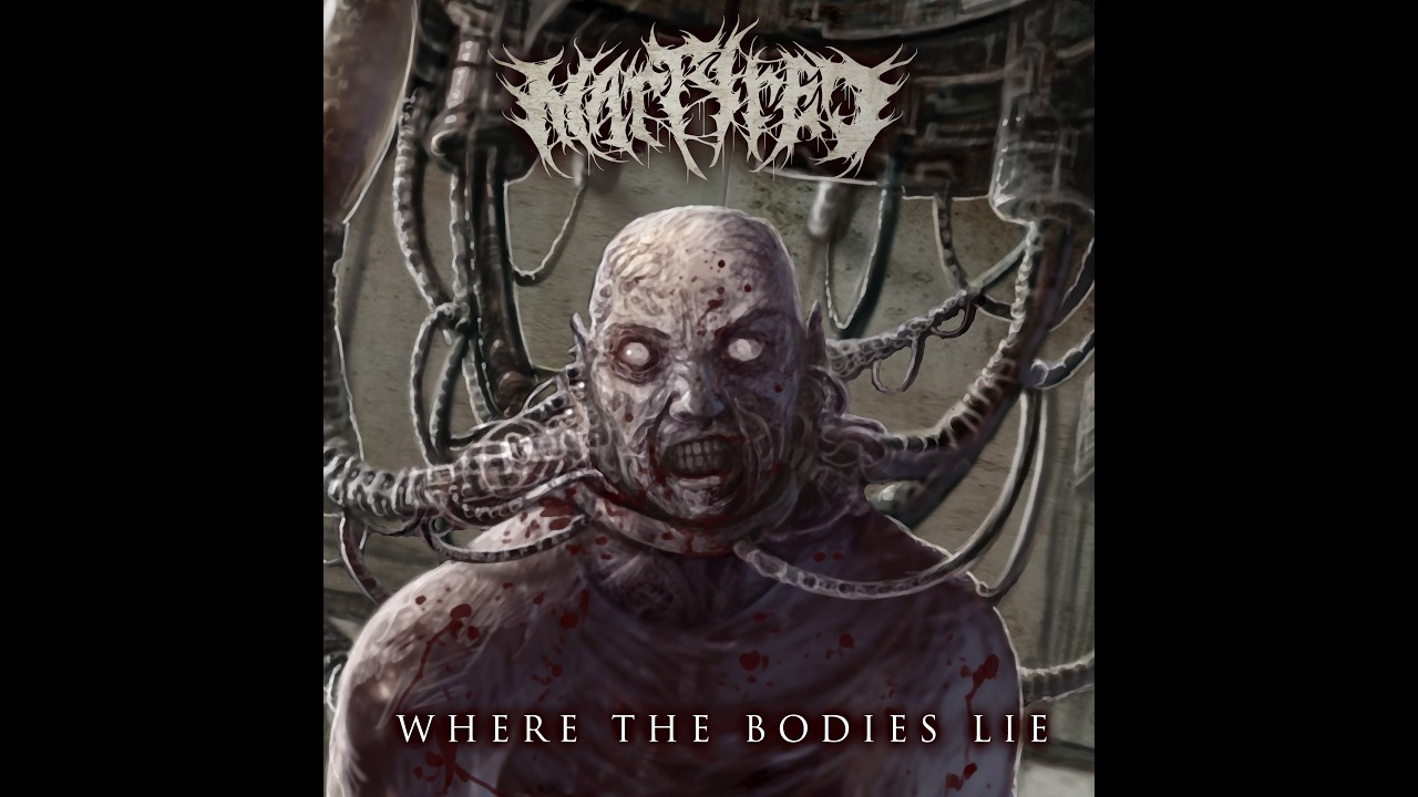 Martyred - Where the Bodies Lie - lyric visualizer