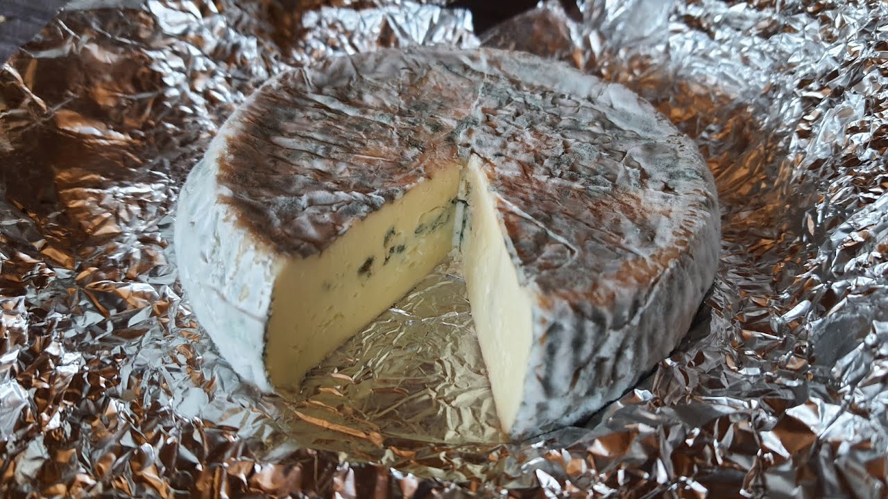 Sviluppo delle Muffe nel mio Gorgonzola.