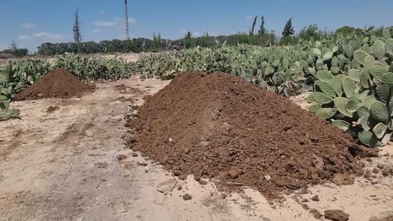 موسم الخير خلص بدرى اووووى كمان والله وربنا راضي الجميع السنادى 01007305821