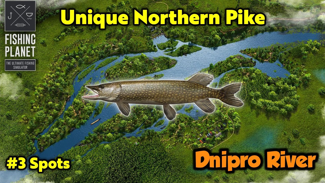 Unique Northern Pike Dnipro River - Fishing Planet