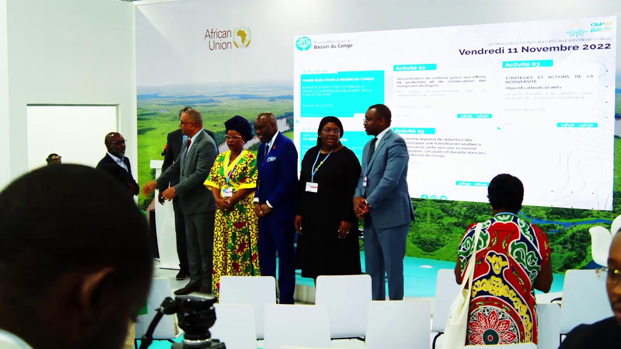 #COP27 : S&eacute;questration du carbone gr&acirc;ce aux efforts de protection et de conservation des mangroves