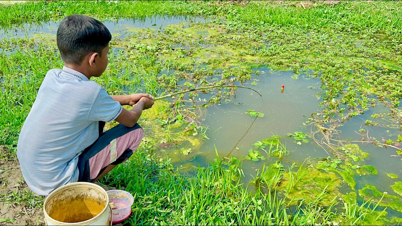 Amazing Unique Hook Fishing Technique Form Canal Village Boy Hunting Catch Fish By Hook in Canal