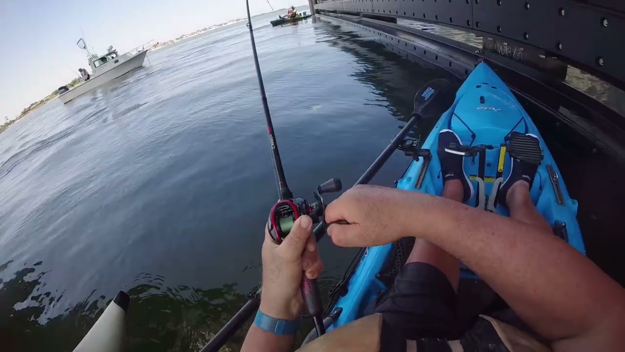 Porgy fishing marine parkvey bridge jamaika bay 