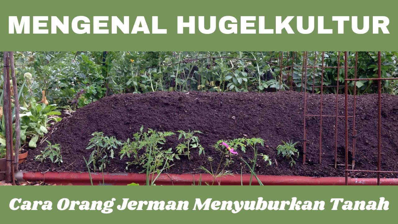 Mengenal Hugelkultur: Cara orang Jerman menyuburkan tanah