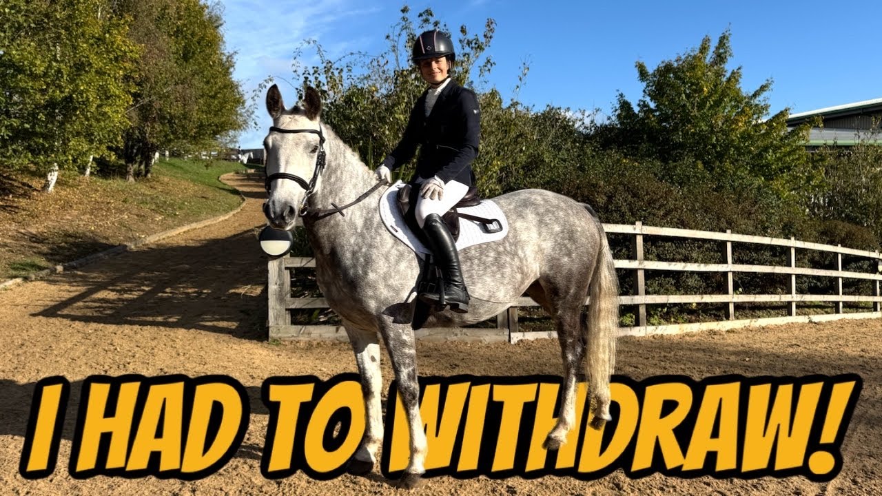 МЫ ВЕРНУЛИСЬ К КОНКУРЕНЦИИ?