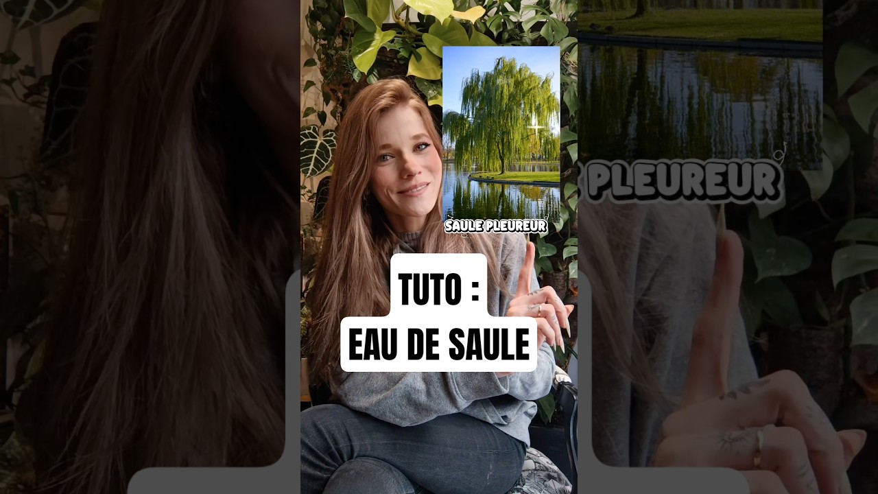 TUTO eau de Saule : potion magique pour vos plantes #jardin #tutorial #tutorial #plants #garden