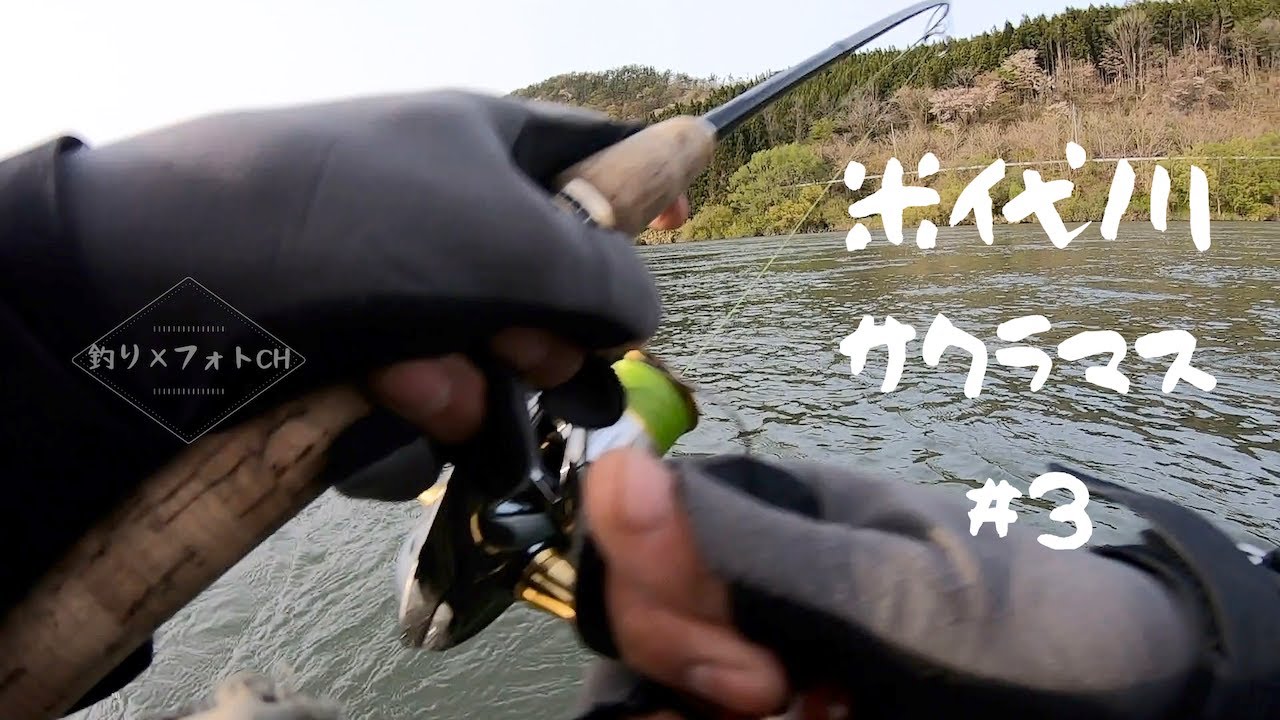 米代川サクラマス 車中泊の釣り旅#3 【本流ルアー】【トラウトフィッシング】【Trout Lure Fishing】