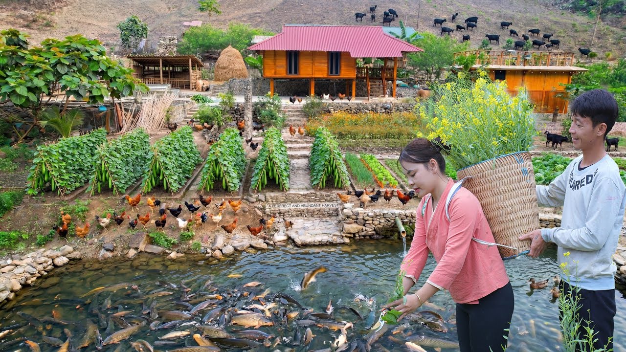 You Won&rsquo;t Believe We Built This Self-Sufficient Garden and Giant Fish Pond