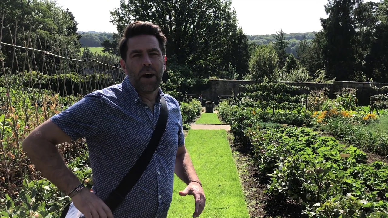 A New Contender for my Favourite Garden?