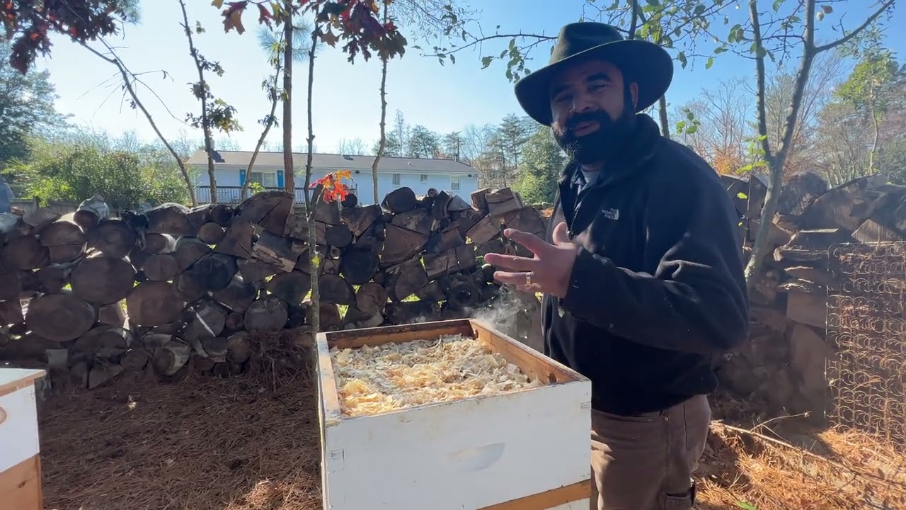 Preparando las colmenas para el invierno  #miel #colmenas #farming #animal