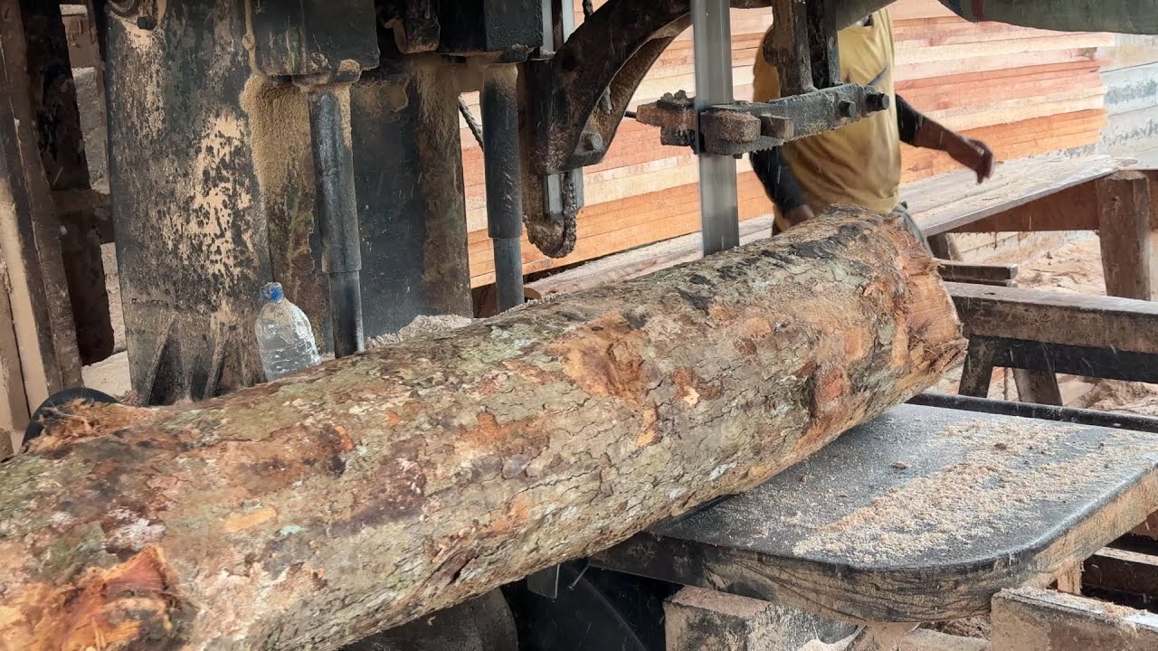 Cutting Wood 2x20 with a Sawmill Guide Complete
