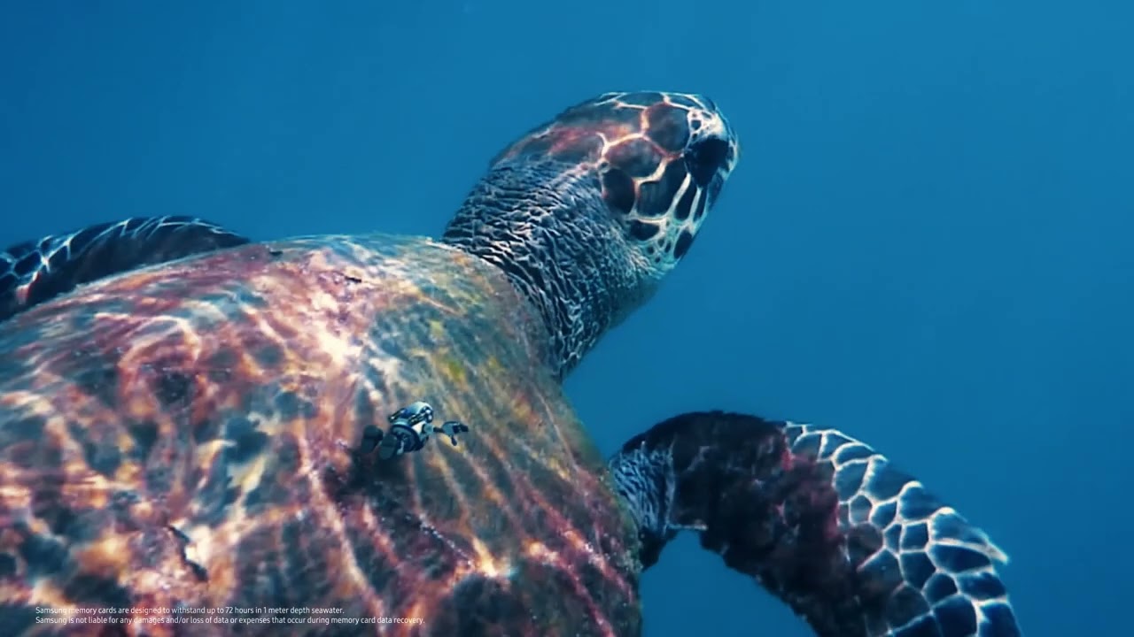 Samsung Memory Cards | Samsung