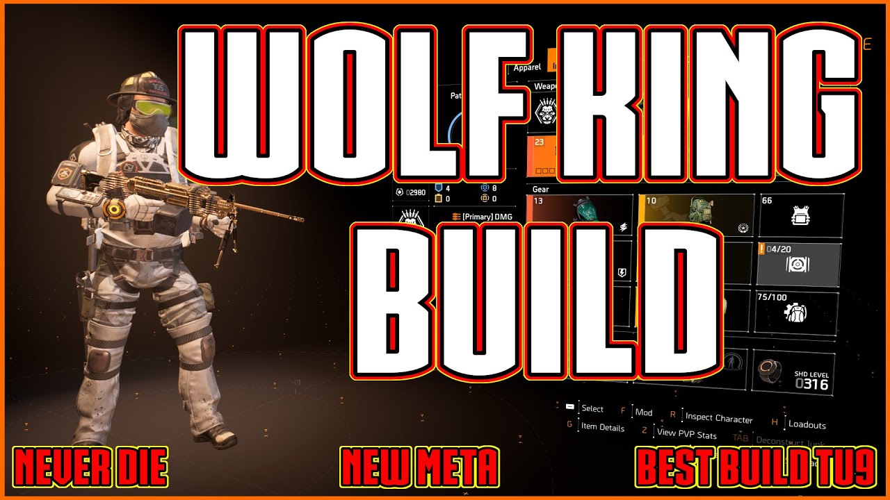 The Division 2 | The Wolf King Build | Insane Damage Tank Hybrid | My Best Build?...