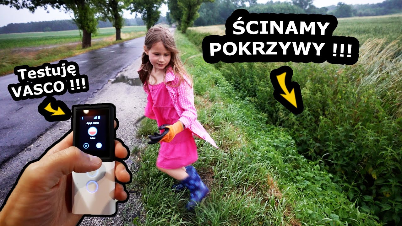 Jedziemy po POKRZYWY i Testujemy Tłumacz VASCO !!! - Złapałem Gumę i Odebrałem Prawo Jazy (#560)