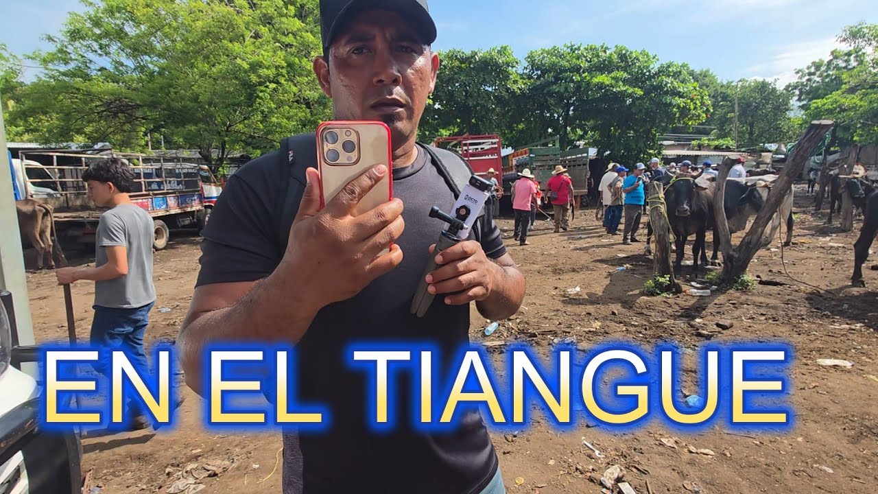 EN EL TIANGUE DEL TRANSITO