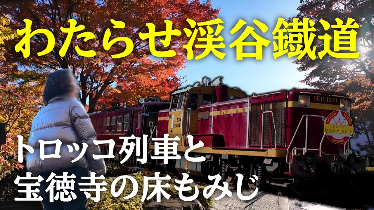 【女ひとり旅】紅葉のわたらせ渓谷鉄道トロッコ列車の乗車記｜宝徳寺の床もみじを堪能する秋の絶景 群馬県日帰り旅vlog