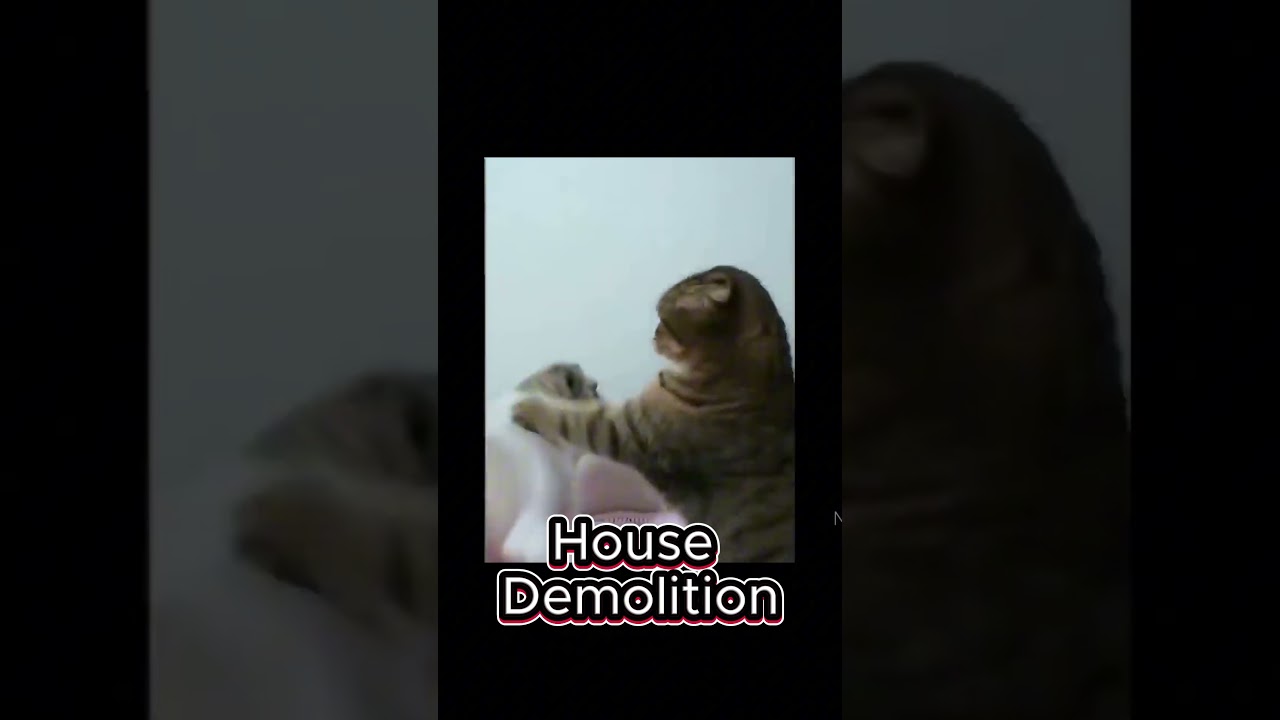 CATS CORE: They DESTROYED the House! 🤯 (Destructive Cat Fails)  