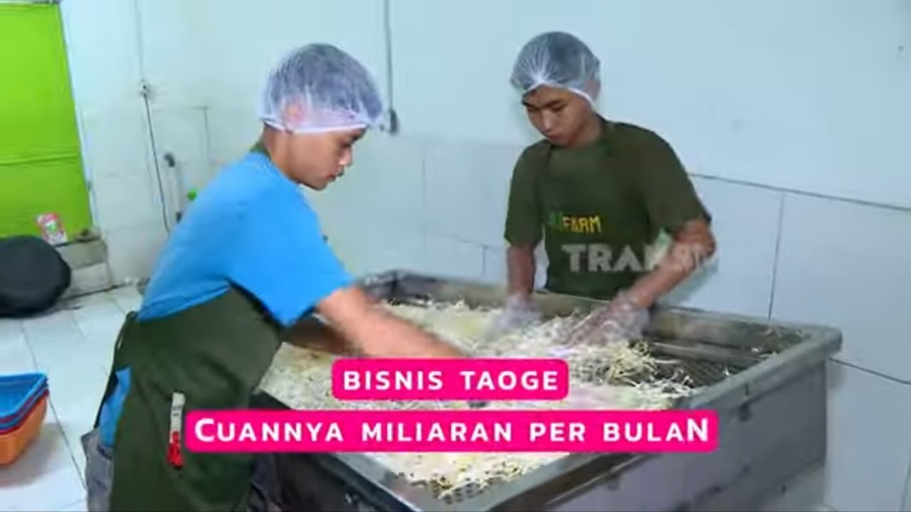 Bisnis Taoge Cuannya Miliaran Per Bulan | CUAN BOSS (23/11/25)