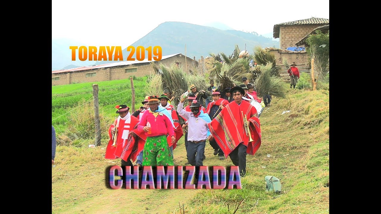 TORAYA 2019 CHAMIZADA APURIMAC