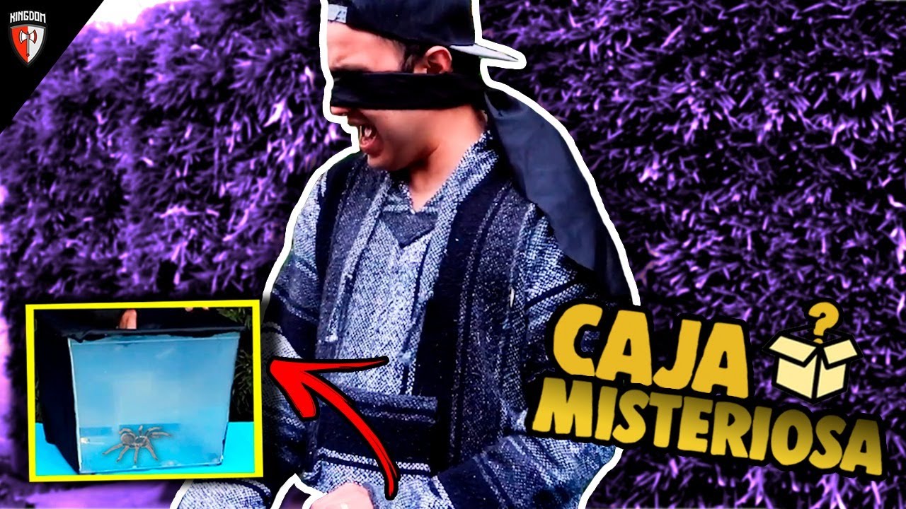 Qué hay en la Caja MISTERIOSA??? - Kingdom Gaming 🛡️
