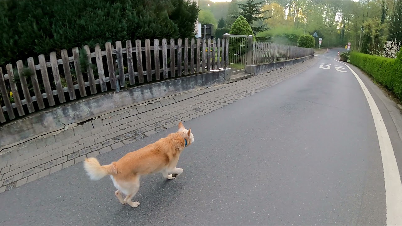 Leverkusen, Lützenkirchen+Bergisch Neuenkirchen+Biesenbach 8 Km