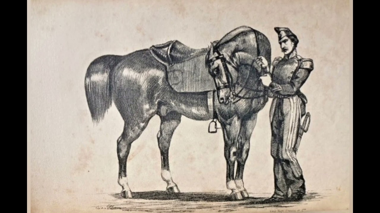 Méthode Baucher