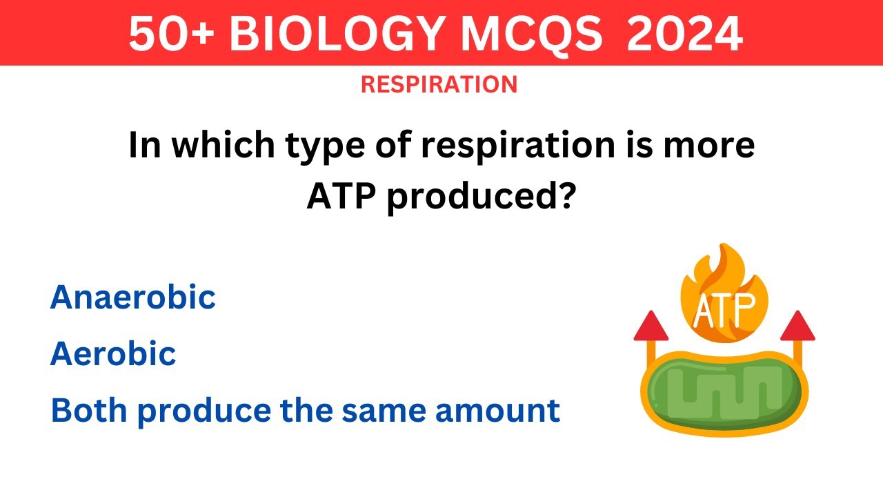 Cellular Respiration Quiz: Test Your Knowledge of Energy Production!