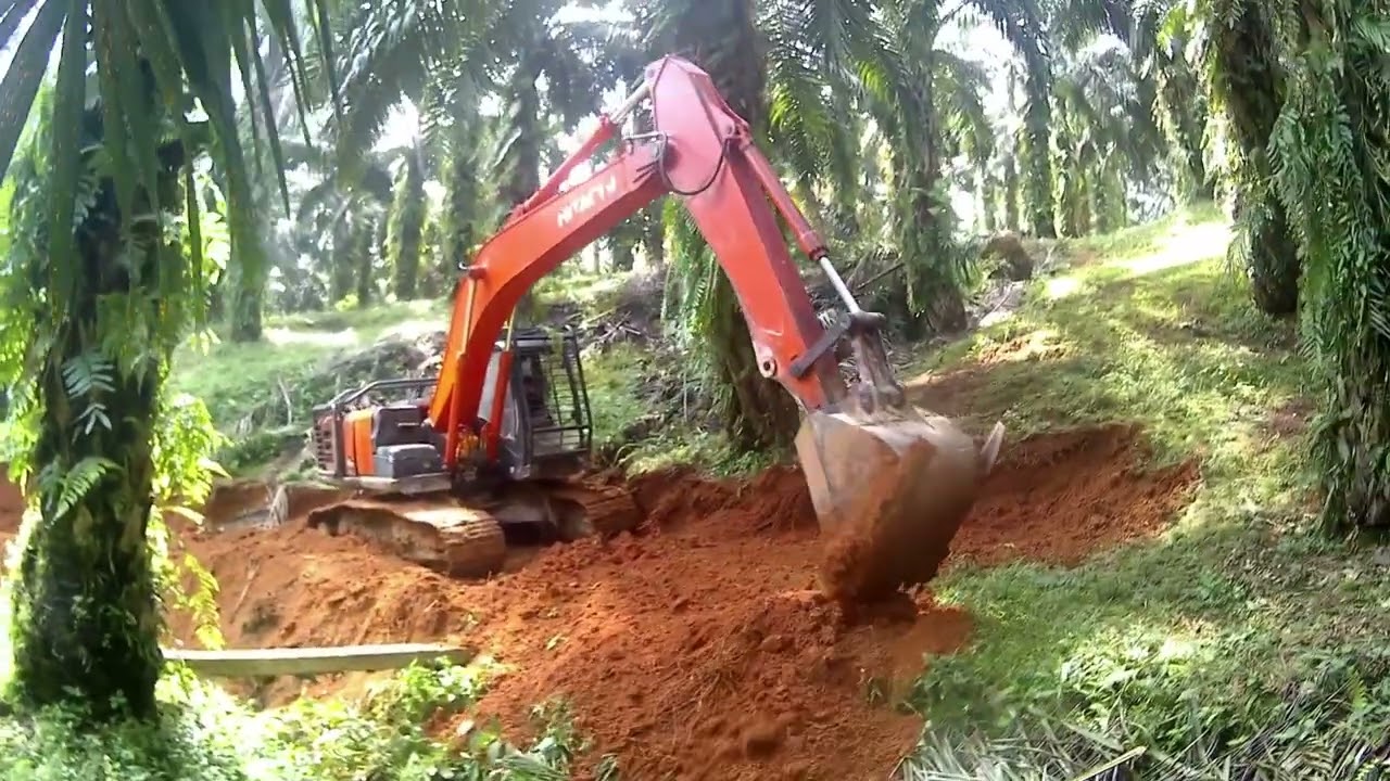 Aktivitas excavator Hitachi di sela-sela gawangan sawit 