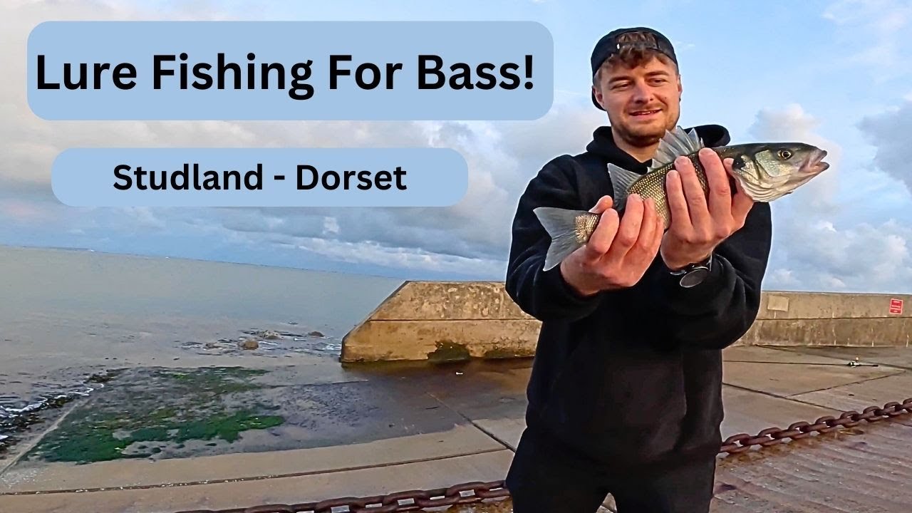 Lure Fishing For Bass - Studland Dorset - Rikki Was On Fire 🔥🔥🔥