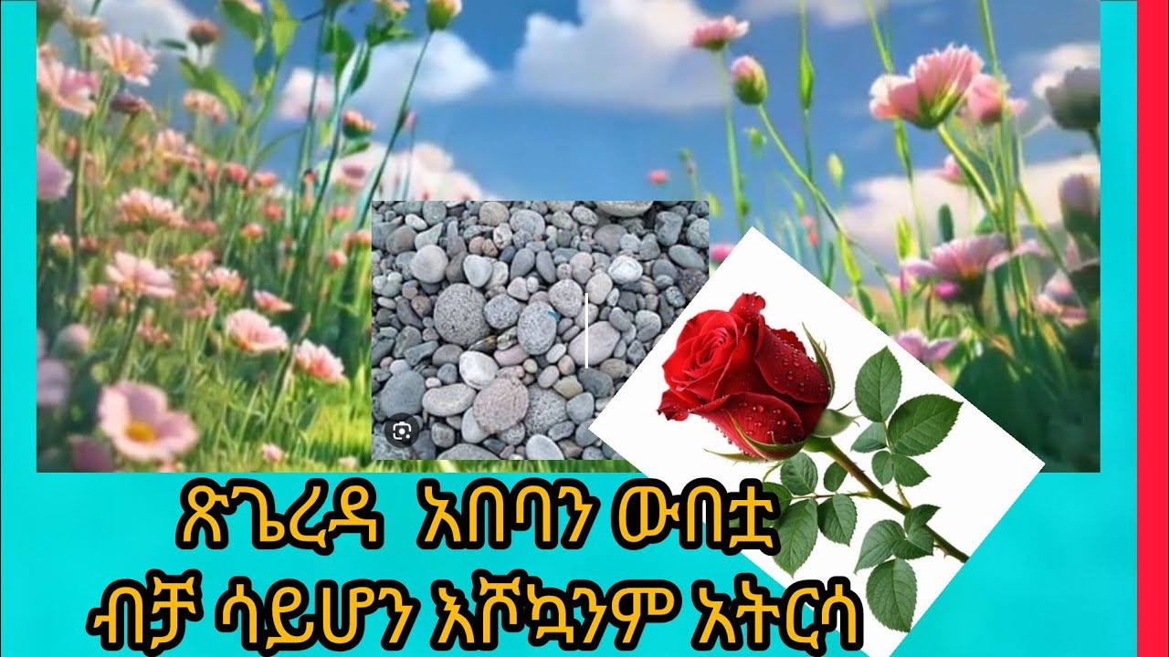 ህይወት ምርጫ ናት ! ጠንክሮ መስራት ወደ ጥሩ ውጤት ያቀርባል።