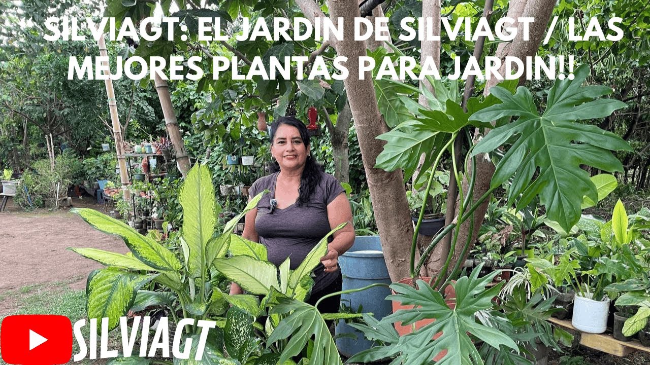 EL JARDIN DE SILVIA GT / La MEJOR manera de PODER mantener HERMOSAS tus PLANTAS!