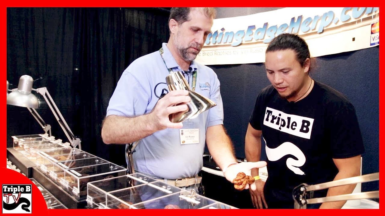 Boa Constrictors with Vin Russo - Ep.100
