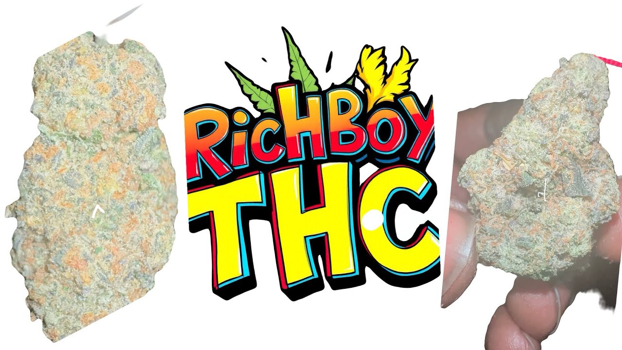 Dab Hits & Lit Nights: The Rise of a Controversial Culture