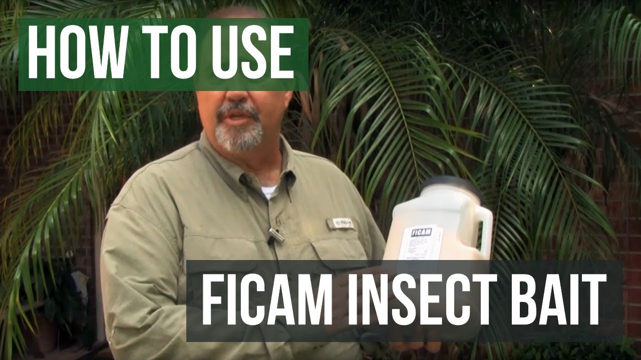 Ficam Insect Bait