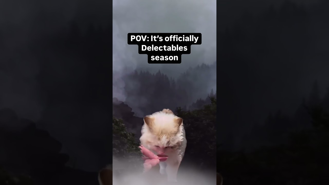 Hoa hoa hoa